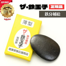 【ポイント3倍★】ザ・鉄玉子 1個 薄型 正規品 南部鉄器 鉄分補給 南部鉄 本場 岩手県奥州市水沢産 産地直送