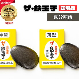 【ポイント12倍★】ザ・鉄玉子 2個セット 薄型 正規品 南部鉄器 鉄分補給 南部鉄 本場 岩手県奥州市水沢産 産地直送