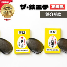 ザ・鉄玉子 3個セット 薄型 正規品 南部鉄器 鉄分補給 南部鉄 本場 岩手県奥州市水沢産 産地直送