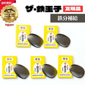 ザ・鉄玉子 5個セット 薄型 正規品 南部鉄器 鉄分補給 南部鉄 本場 岩手県奥州市水沢産 産地直送