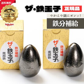 ザ・鉄玉子 2個セット 丸型 正規品 南部鉄器 鉄分補給 南部鉄 本場 岩手県奥州市水沢産 産地直送