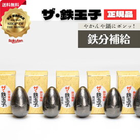ザ・鉄玉子 5個セット 丸型 正規品 南部鉄器 鉄分補給 南部鉄 本場 岩手県奥州市水沢産 産地直送