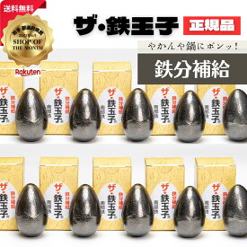 ザ・鉄玉子 10個セット 丸型 正規品 南部鉄器 鉄分補給 南部鉄 本場 岩手県奥州市水沢産 産地直送