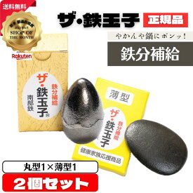 ザ・鉄玉子 2個セット (丸型1×薄型1) 正規品 南部鉄器 鉄分補給 南部鉄 本場 岩手県奥州市水沢産 産地直送