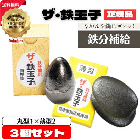 ザ・鉄玉子 3個セット (丸型1×薄型2) 正規品 南部鉄器 鉄分補給 南部鉄 本場 岩手県奥州市水沢産 産地直送