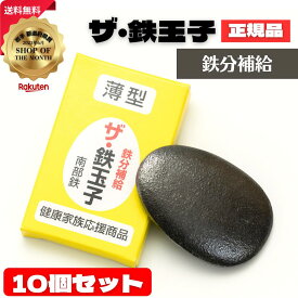 【まとめ買い】ザ・鉄玉子 10個セット 薄型 正規品 南部鉄器 鉄分補給 南部鉄 本場 岩手県奥州市水沢産 産地直送 ギフト用