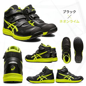 yzAVbNX asics SC ŐVf CP216 1273A076 | 2024 2024N ŐV V V[Y C  Ɨp  ho V   _C JWA nCJbg 傫