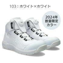 楽天市場】cp304 boa 限定色の通販