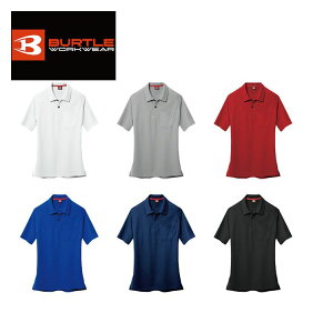 o[g |Vc yburtle105z | BURTLE ƕ ƒ jtH[  Vc   JWA Y j