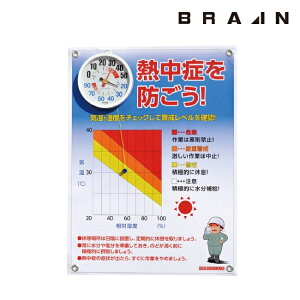 BRAIN uC ςMǊŔ(KL-S004L) 405-0025|  M ΍ MǑ΍ xv Cv ݕi JЖh~ JБ΍  Ə