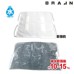 BRAIN uC ً}pzŷ܁@5g@BR-15000