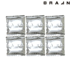 BRAIN ブレイン 結露防止アルミ保冷剤 6個セット BR-539 | 涼しい 夏 夏用 熱中症対策 暑さ対策