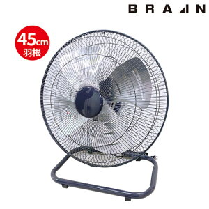 BRAIN uC HƗp@ H A~H 45cm u BR-564 |   ėp MǑ΍ ΍