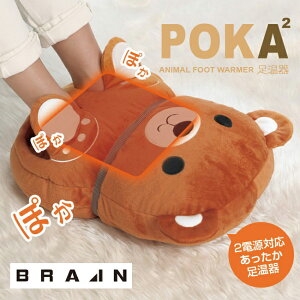 BRAIN uC tbgEH[}[ Aj} iN}j@BR-772