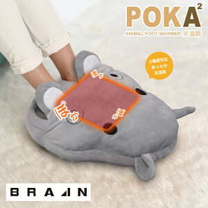 BRAIN uC tbgEH[}[ Aj} iJoj@BR-773