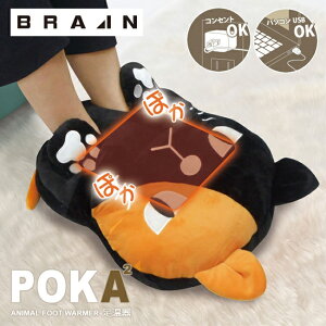 BRAIN uC tbgEH[}[ Aj} ilRj@BR-774