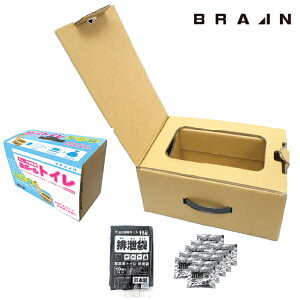 yBR-972-2zBRAIN ȈՒi{[gCZbg | h ЊQ  펞 ΍ ~ 䕗 nk \ ЊQp ΍  ObY p