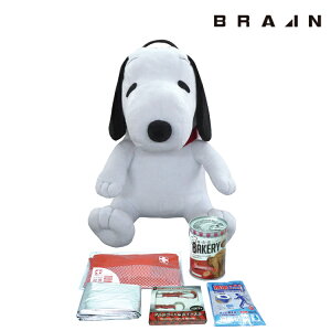 yBR-987zBRAIN Xk[s[hЃbN10_Zbg | qǂ qǂp LbY 킢 v[g h ЊQ  펞 ΍ ~ 䕗 nk \ ЊQp ΍  ObY p