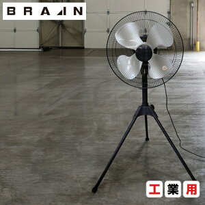uC BRAIN yBR-567zVi/HƗp@(H)45cmA~HOrX^h() | H  Ə Ɩp YƗp HƗp   N[  MǑ΍ M ΍