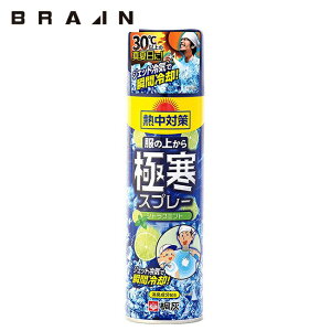 uC BRAIN ̏ォɊXv[330ml/VgX~g 24{ |  N[  ₽ u Ђ ACX ƒ  Ə ď M  ΍ MǑ΍ p