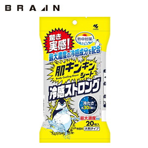 uC BRAIN LLV[g⊴XgO20/ |  N[  ₽ u Ђ ACX ƒ  Ə ď M  ΍ MǑ΍ p