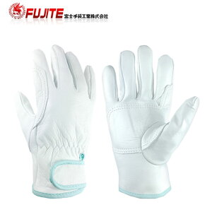 xm 319 NCW[  10o | v O[u  Ɨp [N \ VRv