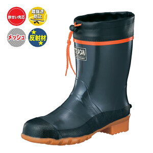 ̉ЂFS-2 RS | C Y Cu[c