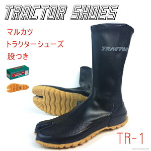 hƌC }Jc gN^[V[YiҕtjTR-1