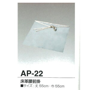 VRv Gv vO| AP-22 y咆YƁz | n Gv O| O nڗp ϔM v  ƒ d   Xpb^ Ή o A[Nn H H  ی K[h ՔM h