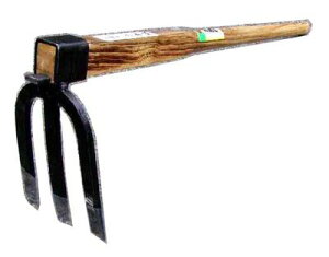 ݐ No.02117 ؉p O{L 35t