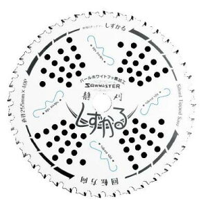 ֐m@\[}X^[@T-S2020@@p`bv\[@Jy`bv\[@@Ê@255mmX40P