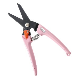 T{e@1211@fB[XX@180mm@|Xg֑isj