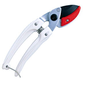 AX@133DX-W@@Ar^Cv@~jG[X