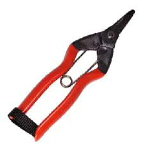 ѐ@S-16@`c@155mm@|Xg֑isj