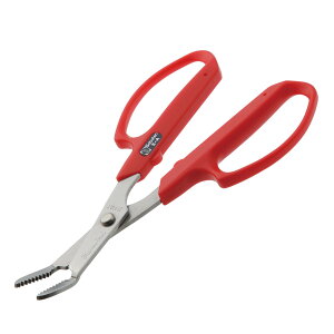 T{e@5-A@ @170mm@|Xg֑isj