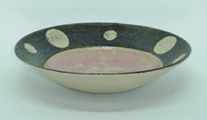 17cm󔫁@hbgi葢ijZā@kRq