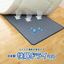 【 テイジン 公式】 高機能除湿シート シングル ダブル 快眠ドライプラス プレミアム 高吸湿 高消臭 タイプ 日本製 送料無料 プラス 繰り返し使える 経済的 除湿 湿気 におい 対策 オールシーズンTEIJIN 帝人 除湿シート