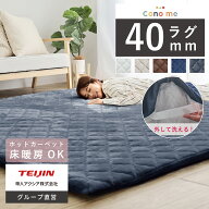 新バージョン発売開始！【 テイジン 公式 】 極厚40mm ラグ 洗える 着せ替えラグ 3色 カバーリングラグ …