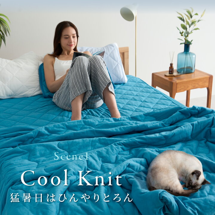 楽天市場】＼新商品／【テイジン 公式】 接触冷感 リバーシブル敷 