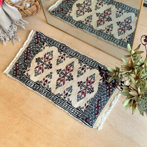 �y����3���ȓ��ɏo�ׁz ���B���e�[�W �g���C�o�� ���O 55cm×30cm �A�C�{���[×�u���[
