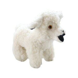 y12܂ł̂œoׁzV[voCUV[ Ђ̂ʂ Sheep by the Sea ӂӂ   qcŴʂ