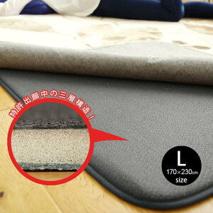 y10܂ł̂ŗcƓoׁzOp~ ӂs^ LTCY 170×230cm X~mG SUMINOE tJs^ ӂ҂