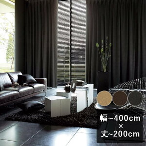 �y����7���ȓ��ɏo�ׁz�X�~�m�G ULife ���[���C�t 1���Ռ��J�[�e���uU-9310�`U-9312�v ���`400cm×��`200cm