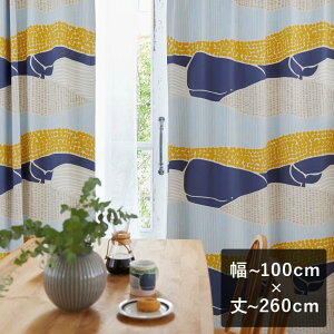 y6ȓɏoׁz2ՌJ[e X~mG fUCCt uKUJIRA VOYAGE NW{[W u[v `100cm×`260cm