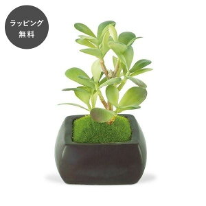 y5ȓɏoׁzCTG}O[ a~ JlmiL