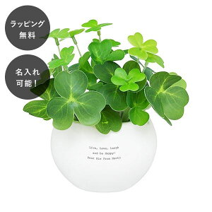 y7ȓɏoׁz CTG}O[ N[o[