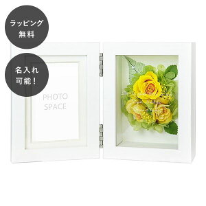 y7ȓɏoׁz vU[uht[ tHgt[ CG[ S