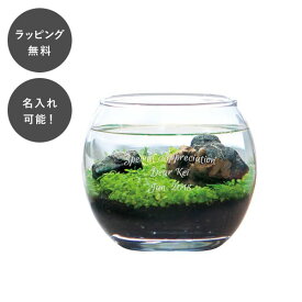 楽天市場 アクアリウム キットの通販