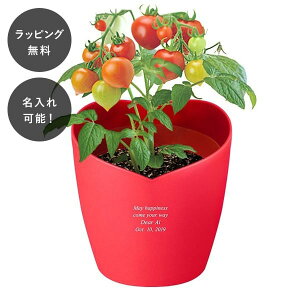 y7ȓɏoׁz n[g|bg͔|Lbg ~jg}g