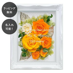 y7ȓɏoׁz vU[uht[ t[AW IW